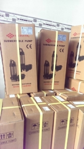Máy Bơm Nước Thải Sạch Evergush EA-20