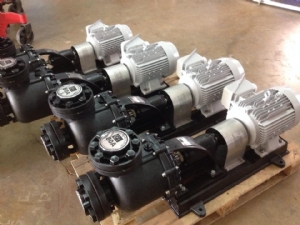 Máy Bơm Đầu Nhựa NTP USP250-13.7 20