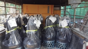 Máy Bơm Chìm Nước Thải Tsurumi 150B437