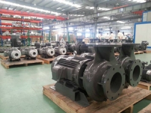 Máy Bơm Trục Ngang EVERGUSH CP-25.5