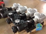 Máy Bơm Hóa Chất Đầu Nhựa Showfou PL232