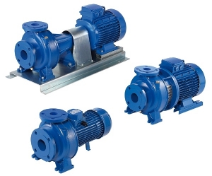 Máy bơm ly tâm Ebara 3D 50-200/9.2 12.5HP