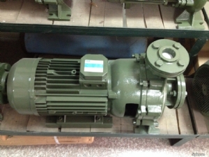 Bơm Ly Tâm Trục Ngang Saer IR65-200A