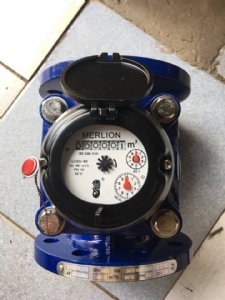 Đồng Hồ Đo Nước Thải Merlion LXXG DN65