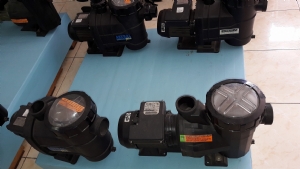 Máy Bơm Hồ Bơi MAGNUS-4 750