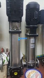 Máy Bơm Ly Tâm Trục Đứng STAC EVX 3/3