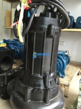 Máy Bơm Thải CNP-Tsurumi 100WQ50-7-2.2(I)