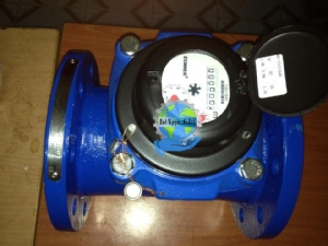 Đồng hồ  WPH-N Qn150 DN150