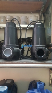 Bơm Thả Chìm Nước Thải Nhẹ Alpha V 2 M/T