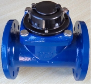 Đồng hồ WPH-N Qn250 DN200
