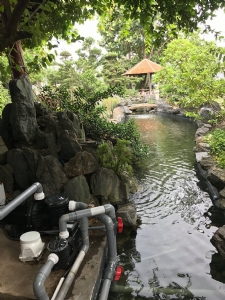 Máy bơm tuần hoàn bể bơi APP SMP-10