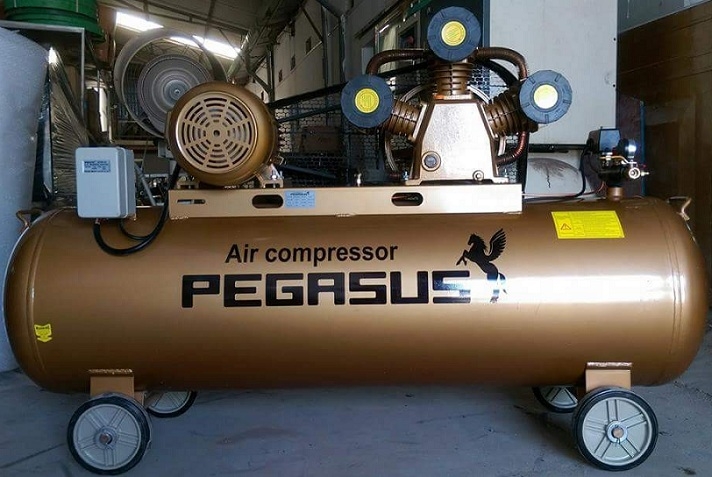 Máy nén khí dây đai PEGASUS TM-W-0.36/8-180L (220V)