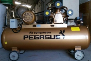 Máy nén khí dây đai PEGASUS TM-W-0.36/8-180L (220V)